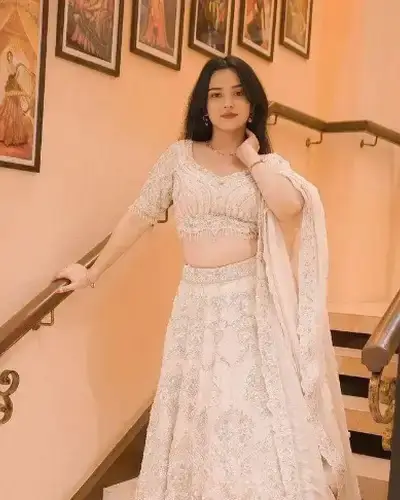 Escort Service In Nabha
